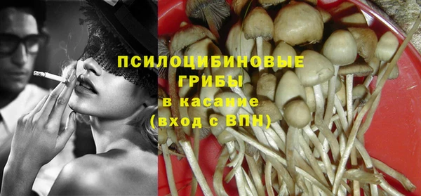 дживик Гусев