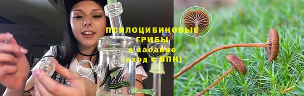 трава Гусь-Хрустальный