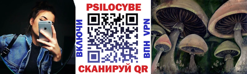 Псилоцибиновые грибы ЛСД  Купить закладки  Рошаль 